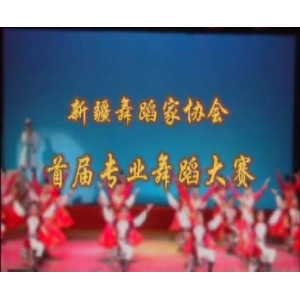 新疆舞蹈家协会首届专业舞蹈大赛