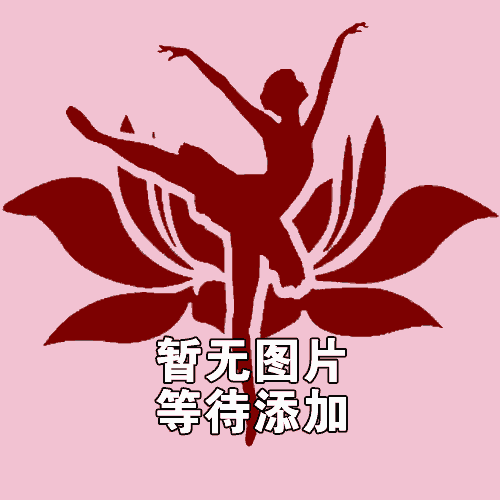 A332 北京现代舞团_昆仑（2VCD）